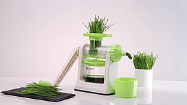 Соковичавниця OUROK D598 для соку пшениці та фруктів