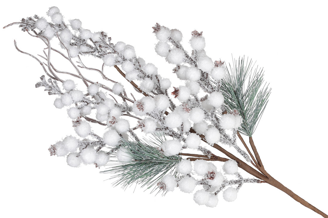 Гілка з сніговими ягодами, фото 1