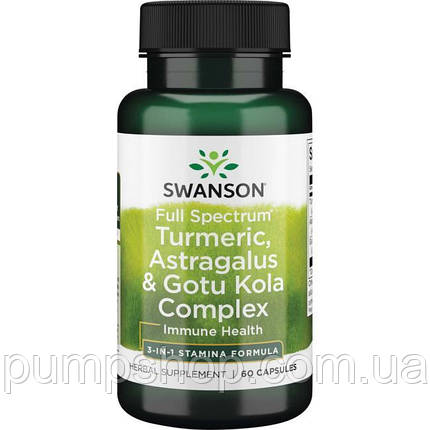 Куркума, Астрагал і Готу Кола Swanson Turmeric, Astragalus & Gotu Kola Complex 60 капс., фото 2