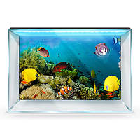 Наклейка в аквариум 3D морское дно, в разных размерах 40х65 см. 750, 45 х 75 см, 450