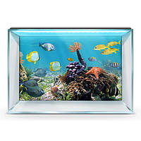 Наклейка з рибами та морською флорою для акваріума 40х65 см.