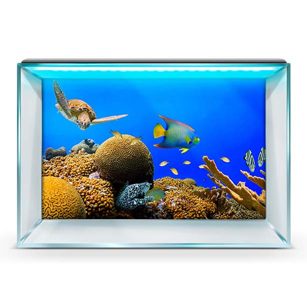 Підводний світ в акваріум-наклейка, у різних розмірах 40х65 см.
