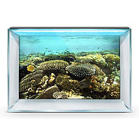 Наклейка в аквариум 3D морское дно, в разных размерах 75х125 см.