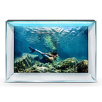 Морская фауна на наклейке в аквариум, в наличии и под заказ 60х100 см.