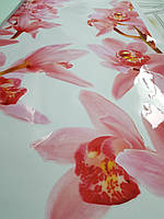Наклейка на шафу-купе з квітами орхідеї 100 х 240 см