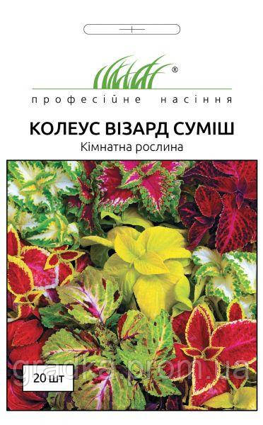 Купить Колеус Визард смесь, 20 шт, цена 13 грн — Prom.ua (ID#1474842125)