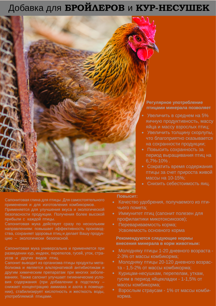Добавка для Бройлеров и Кур-несушек — Купить Недорого на Bigl.ua ...