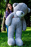 Плюшевий сірий ведмідь 180 см гарний, Якісний плюшевий іграшковий ведмідь, фото 3