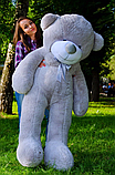 Плюшевий сірий ведмідь 180 см гарний, Якісний плюшевий іграшковий ведмідь, фото 2