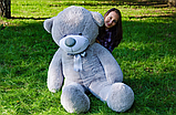 Плюшевий сірий ведмідь 180 см гарний, Якісний плюшевий іграшковий ведмідь, фото 4