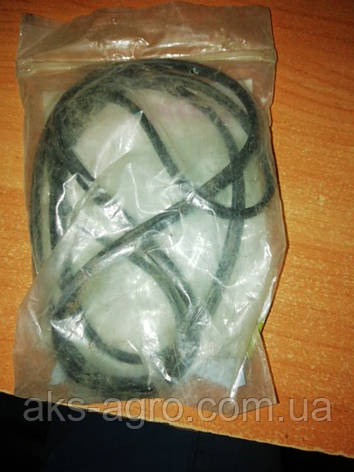 Кільце ущільнювальне 0011311960 [Claas Original], фото 2