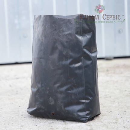 Пакет для саджанців і розсади розмір 20x50. 10 л, фото 1