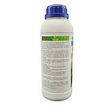 Бор+Молібден Хелат бору 168 г/л+молібден 5 г/л 1л, фото 2