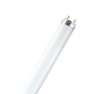 Лампа T8 L58 W / 765 G13 OSRAM