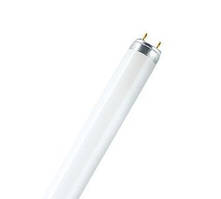 Лампа T8 L58 W / 765 G13 OSRAM