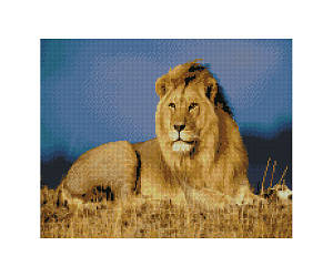 Алмазна мозаїка FA10001 «Цар звірів», 40х50 см