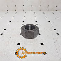 Гайка цапфи МТЗ (вир-во САЗ)