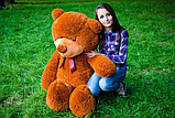 Плюшевий ведмедик у подарунок карамельний 160 см,Плюшевий ведмедик на день народження 1.6 метра, фото 3