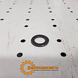 Шайба болта кріплення ГБЦ МТЗ (Д240) 48-1002318, фото 2