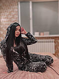 ПОПОЖИВКА "БАГІРА", фото 6
