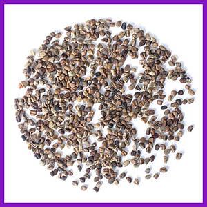 Кардамон очищене насіння кардамону кардамон для схуднення спеція кардамон 1 кг PL