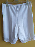 Панталони (шорти) коригуючі великого розміру (2XL - 5XL), фото 8