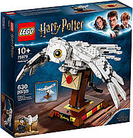 Конструктор Lego Harry Potter 75979 Букля