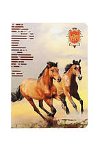 Тетрадь А5 на 32 аркуші Horse UNITED OFFICE - кольоровий CO-440063