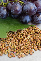Виноградні кісточки Grape Seed
