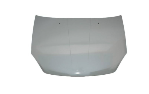 Капот Chery Elara А21 / Чері Елара A21 A21-8402010-DY, фото 1