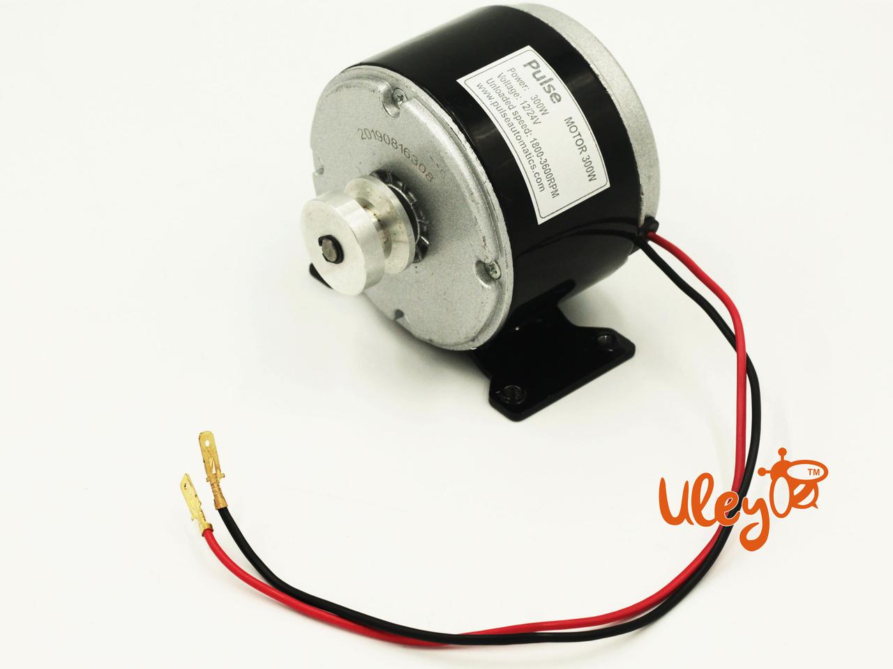 Електродвигун для медогонки, 300Вт, 12-24V, фото 1