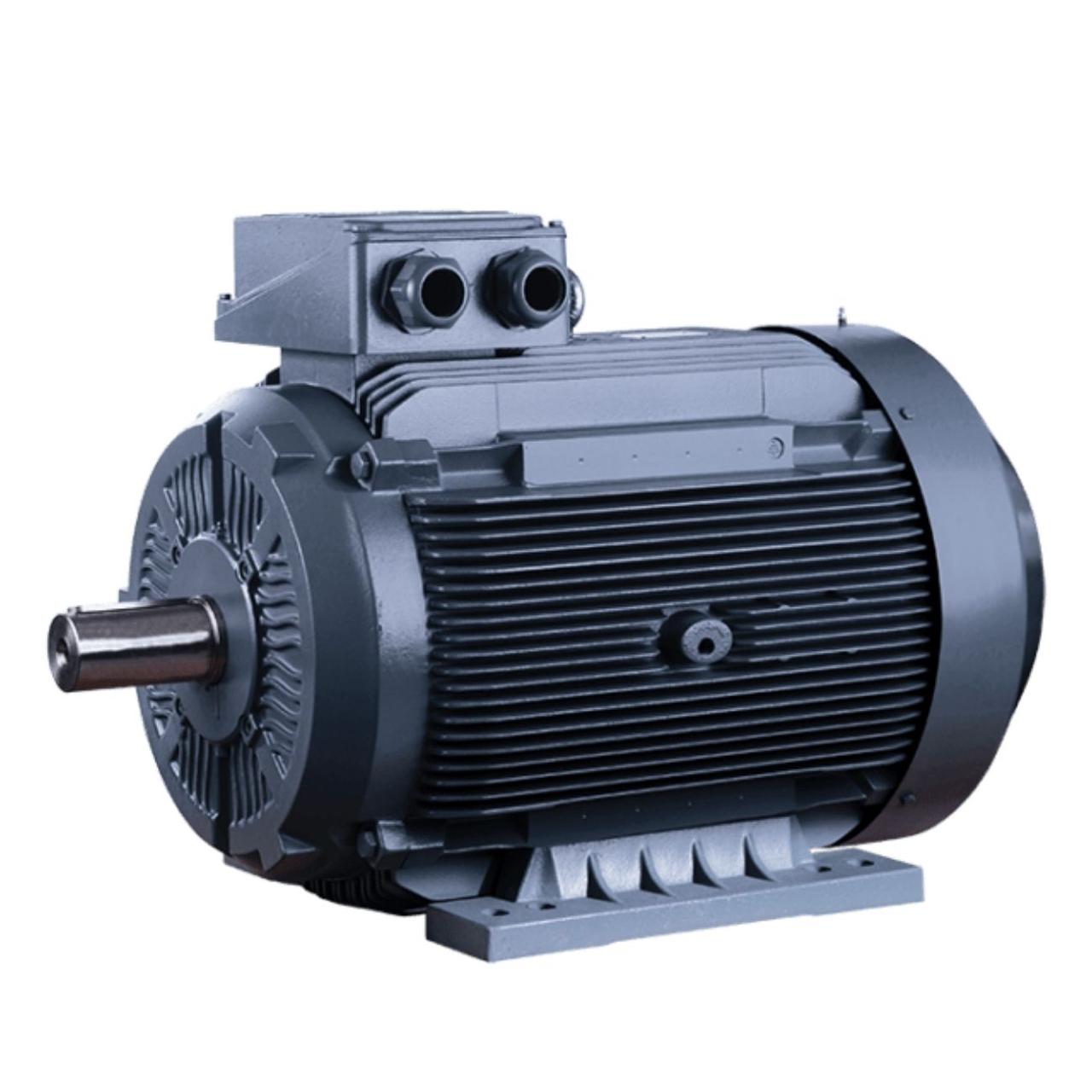 Трехфазный электродвигатель ELK 2EG180L4C-22кВт-1500об/мин - фото 2 - id-p1530956429