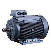 Трехфазный электродвигатель ELK 2EG180L6D-15кВт-1000об/мин