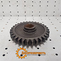 Шестірня проміжного заднього ходу МТЗ 70-1701082