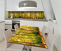 65х120 см Наклейка для кухонного стола, защита на стол, пленка скатерть на стол Z181558/1st