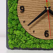 Годинник настінний сучасний із мохом., фото 6