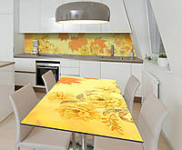 65х120 см Наклейка для кухонного стола, защита на стол, пленка скатерть на стол Z181612/1st