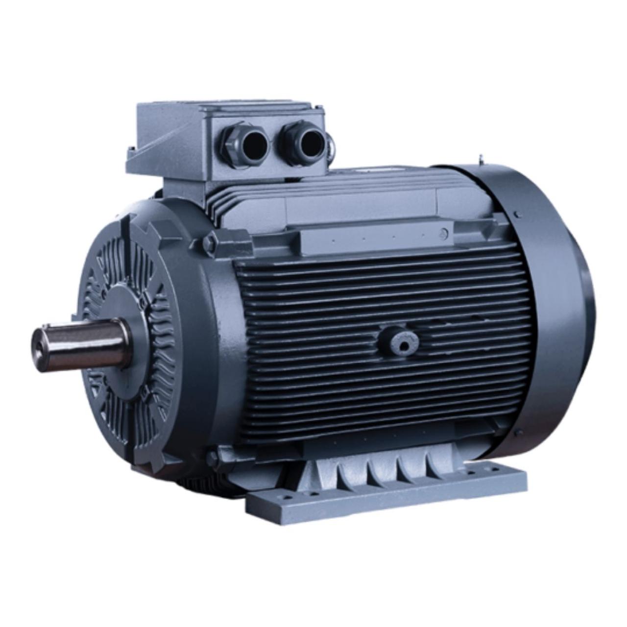 Трехфазный электродвигатель ELK 2EG225M2B-45кВт-3000об/мин - фото 2 - id-p1531581547