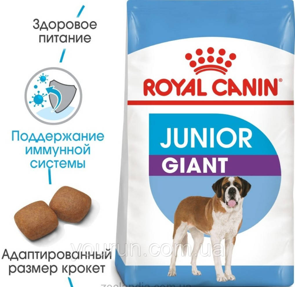 Royal Canin (Роял Канин) Giant Junior - корм для щенков гигантских пород от 8 до 18/24 мес