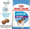 Royal Canin (Роял Канин) Giant Junior - корм для щенков гигантских пород от 8 до 18/24 мес, фото 3
