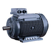Трехфазный электродвигатель ELK 2EG250M4C-55кВт-1500об/мин