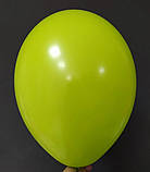 Латексна кулька зелений пастель В105/008/ 12" Belbal, фото 2