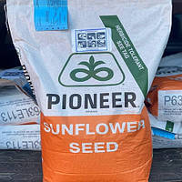 Подсолнечник Семена Pioneer P64HH106 Пионер Высокоолеиновый 2023 год