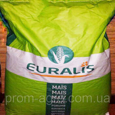 Насіння кукурудзи Євраліс, ЄС Кроссман, ФАО 240