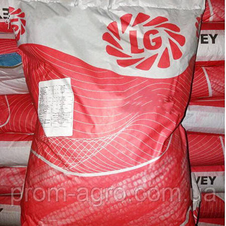 Насіння кукурудзи Limagrain LG 31377 ФАО 360 посівної гібрид кукурудзы Лімагрейн ЛГ 31377