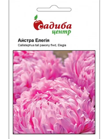Семена Астра Элегия 0,2 г, Hem Zaden