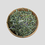 Трав'яний набір при колитах, фото 3