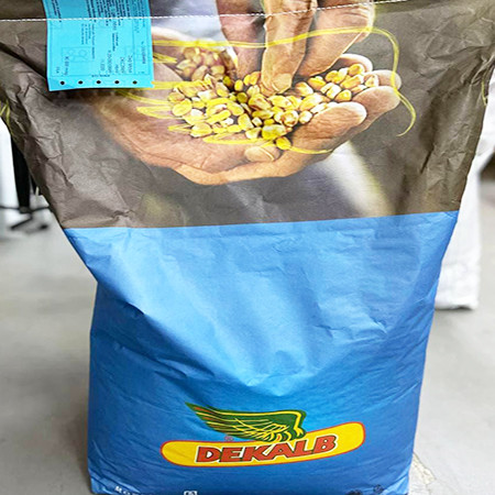 Насіння кукурудзи, Monsanto, DKС 3730, ФАО 280