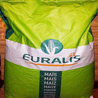 Семена кукурузы Euralis ЕС Мейфлавер ФАО 330 посевной гибрид кукурудзы Евралис ЕС Мейфлауер