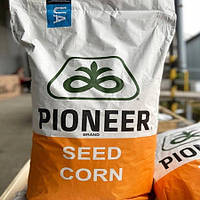 Семена кукурузы Pioneer P9025 ФАО 330 посевной гибрид кукурудзи Пионер П9025